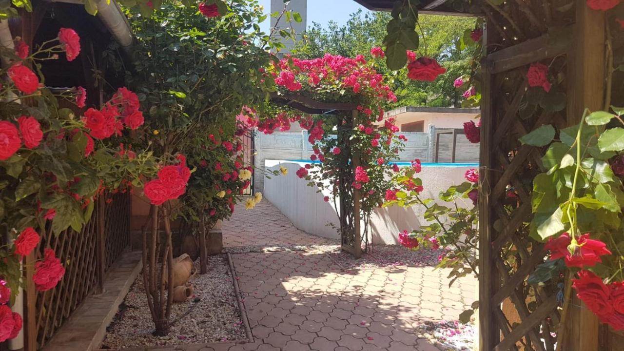 Pensiunea Dunavis Orşova Extérieur photo